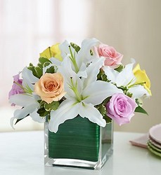 Modern Embrace Davenport Florist - Same Day Flower Delivery - Flower Power 